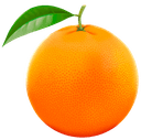 Fruits & Vegetables