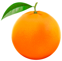 Fruits & Vegetables